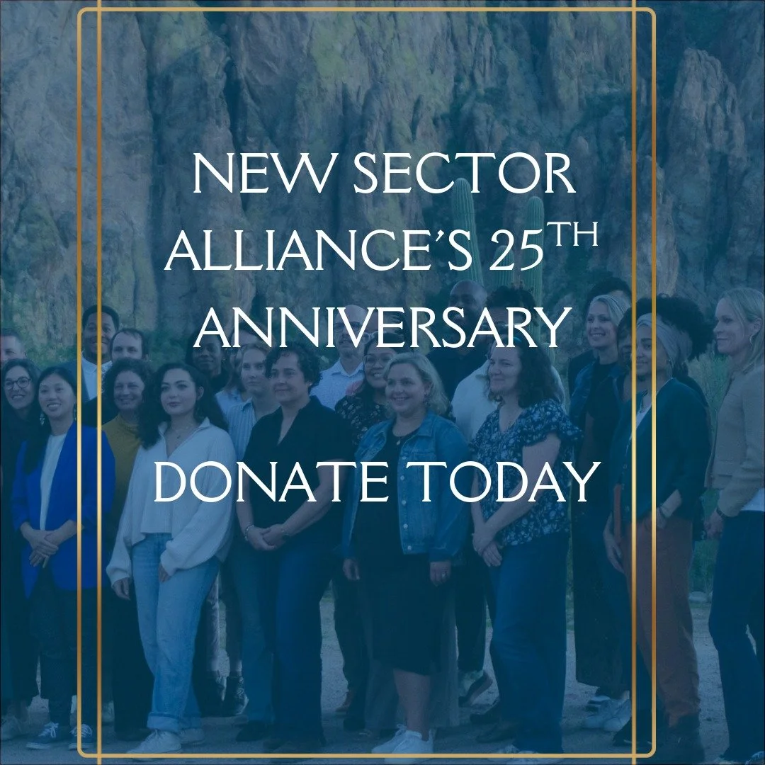During 2025, we thank you for being a part of our community and supporting our mission to empower leaders with the skills, mindsets, and connections to preserve as long-term leaders for transformative change. 
New Sector&rsquo;s innovative programs a