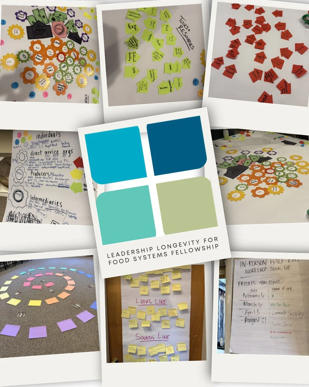 🌿 Leadership in action. Community in practice.
At our first in-person convening, our 2026 Greater Boston Leadership Longevity Fellowship cohort didn&rsquo;t just sit and listen...they engaged.

From hands-on wellbeing exercises grounded in science, 