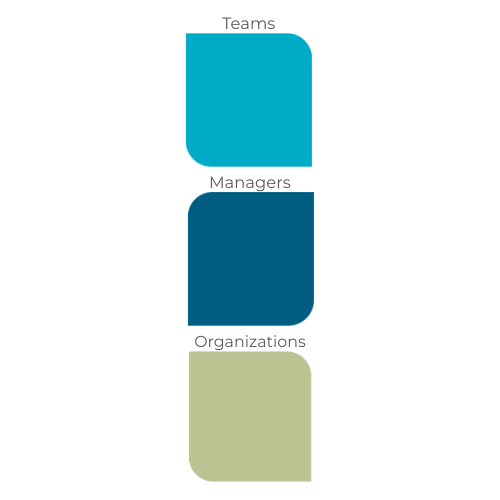 Organizational Consulting — New Sector Alliance | Nonprofit Leadership ...