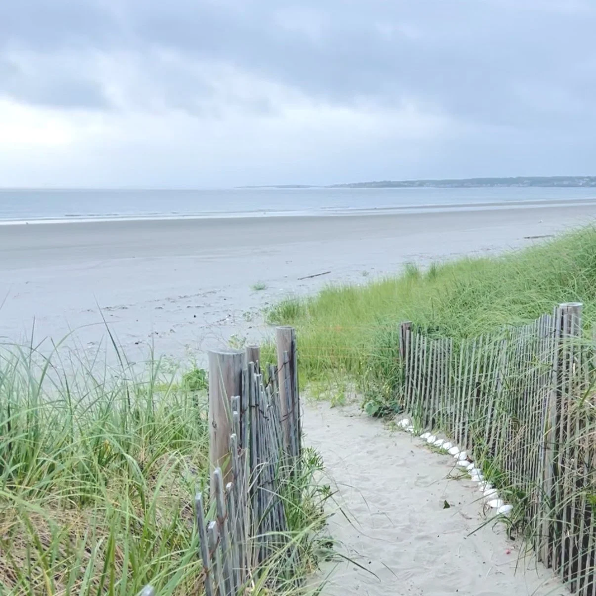 Reclaiming the In-Between Moments: How to Slow Down and Find Rhythm in Daily Life