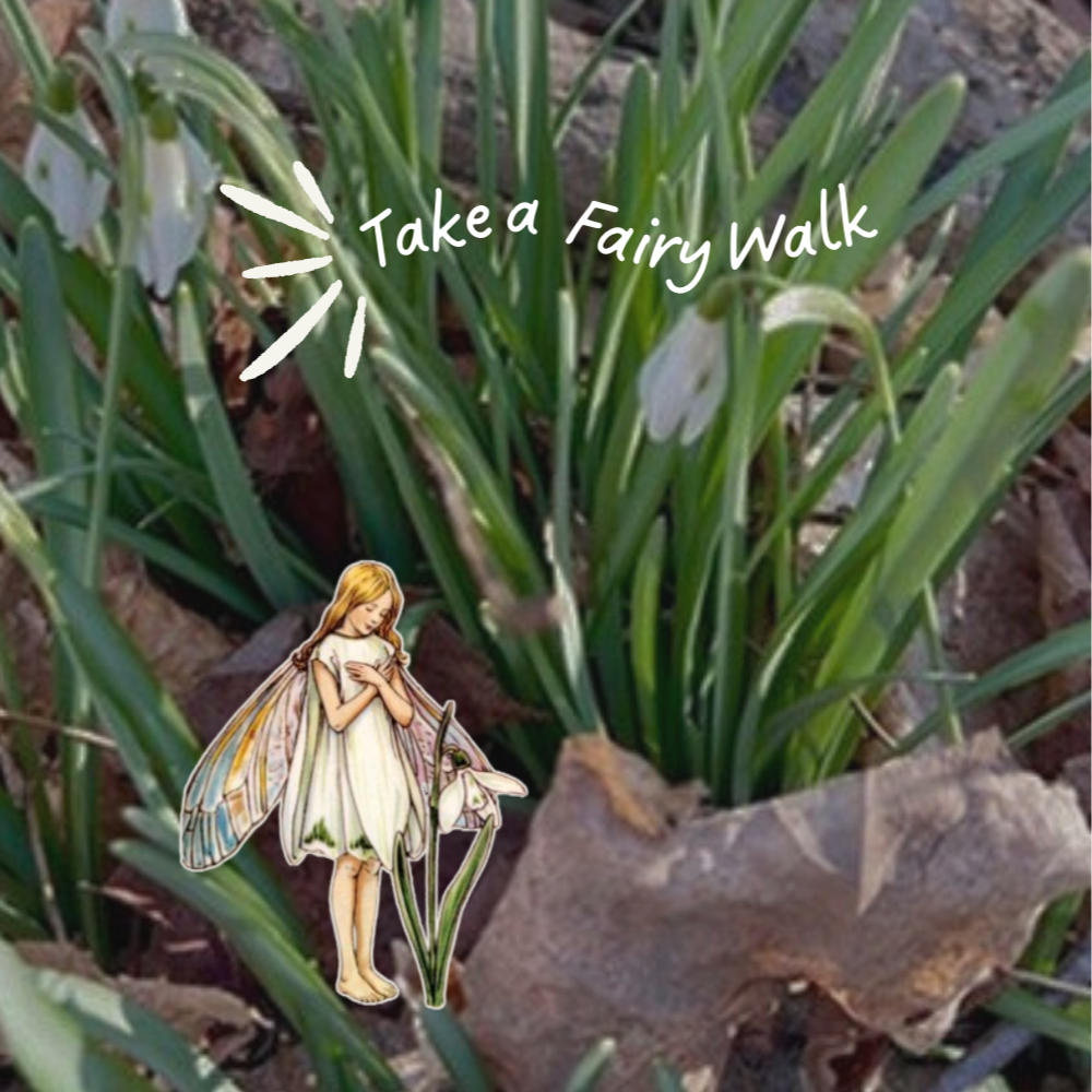 Take a Fairy Walk: Simple Magic for Childhood Adventures