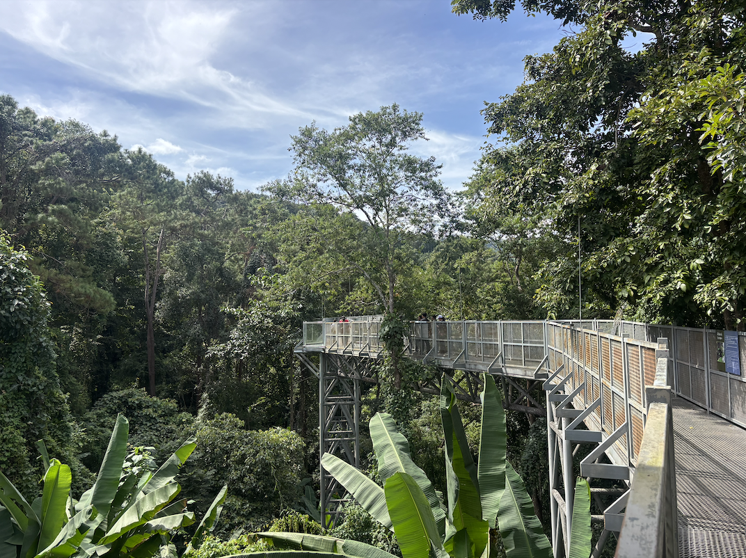 Screenshot 2025-12-08 at 12.26.37 PM.png