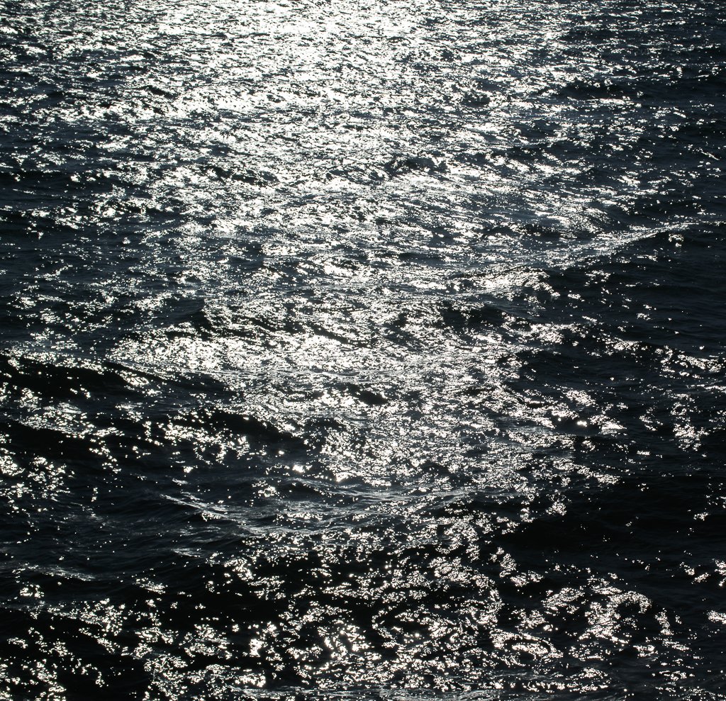 _DSC0216.jpg