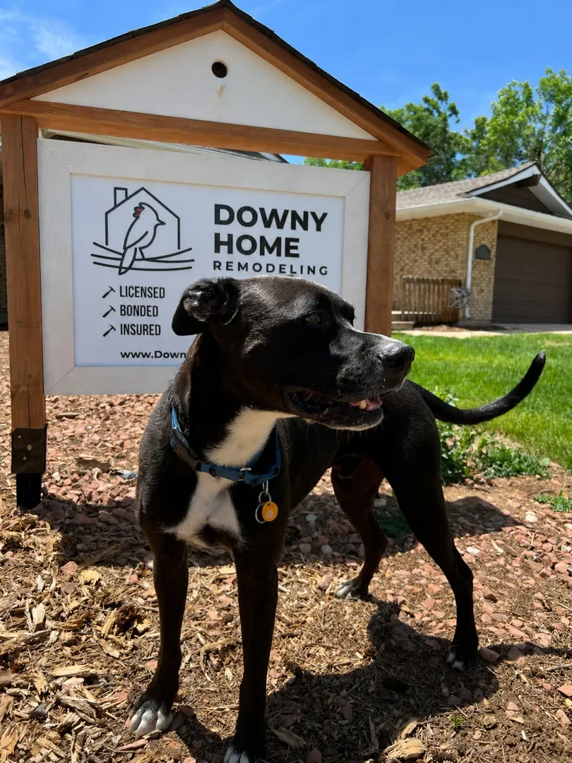 Ziggy, beloved best friend to Wayne Mullis, owner of Downy Home Remodeling, standing outside a full home remodel in Boulder, CO next to the Downy Home custom birdhouse yard sign.