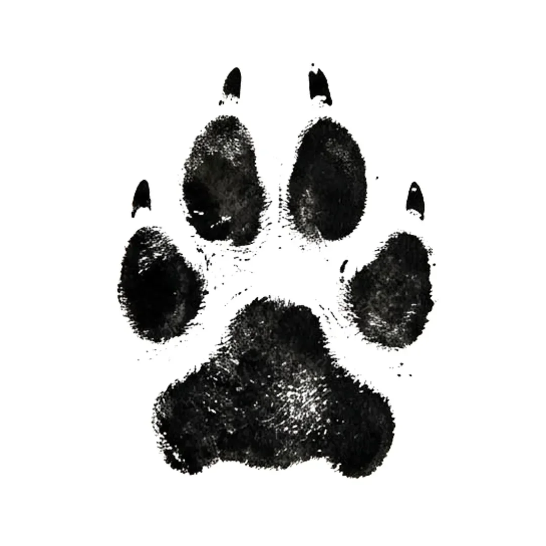 Black ink dog paw print