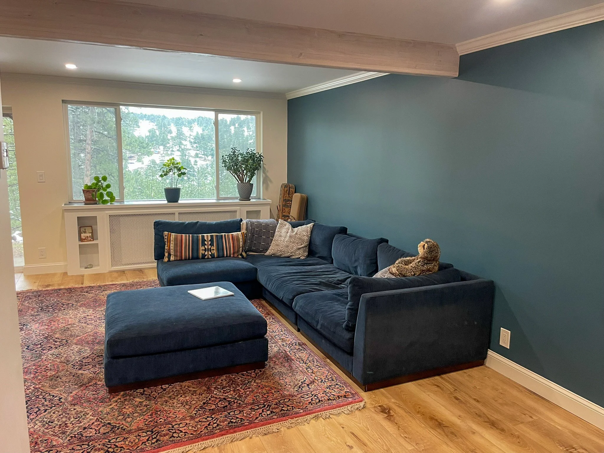 Completed Boulder Basement Remodel 8.jpg