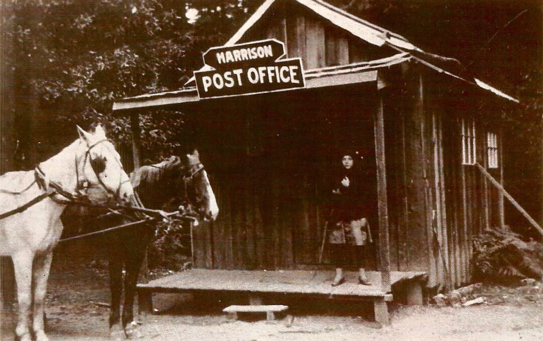 LomaMarStore_Harrison.jpg