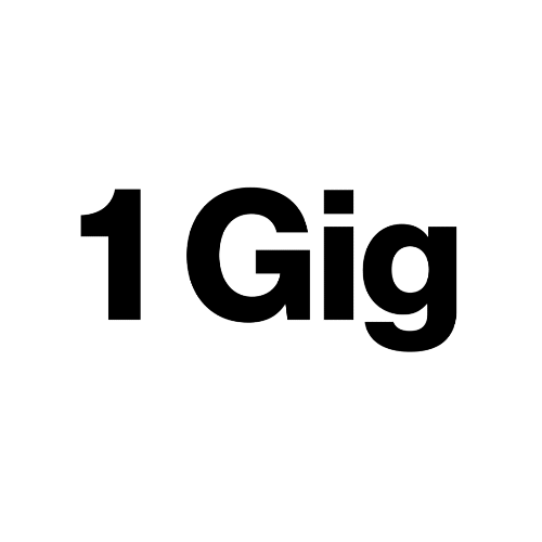 vz 10_1.gif