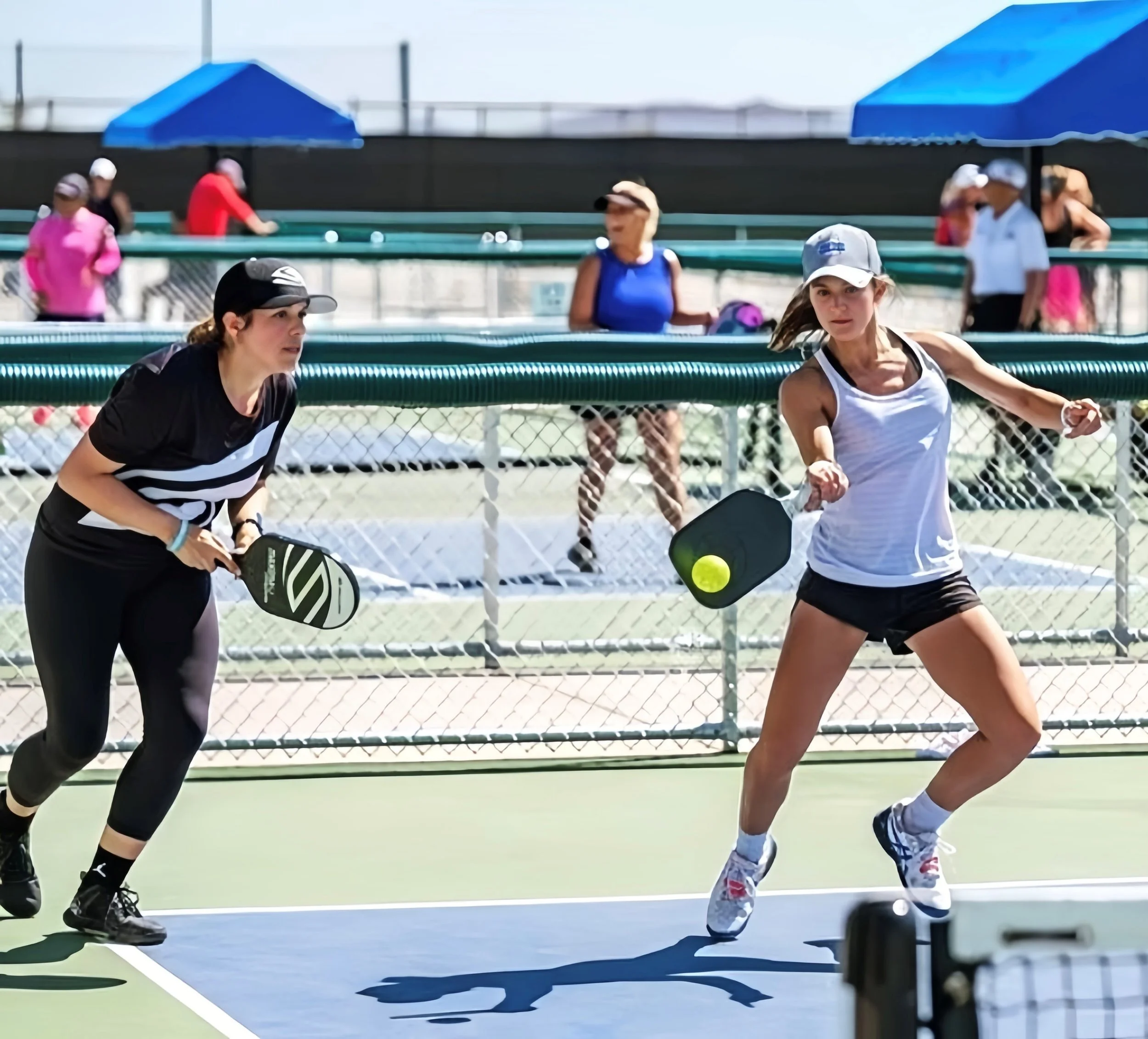APP: Legacy Open with Lacy Schneemann