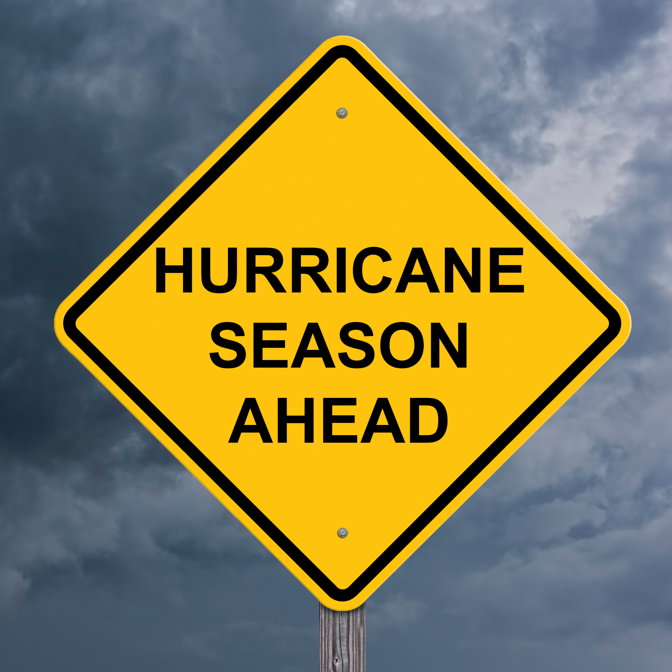 Hurricane Season Prep for Your Landscape: A Homeowner's Checklist
