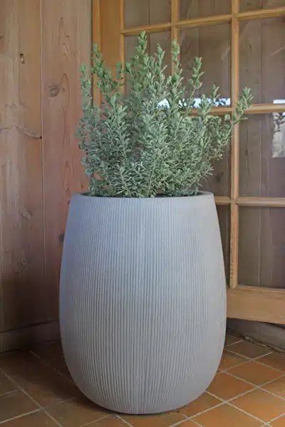 VP259-260-Tall-Round-Pot.jpg