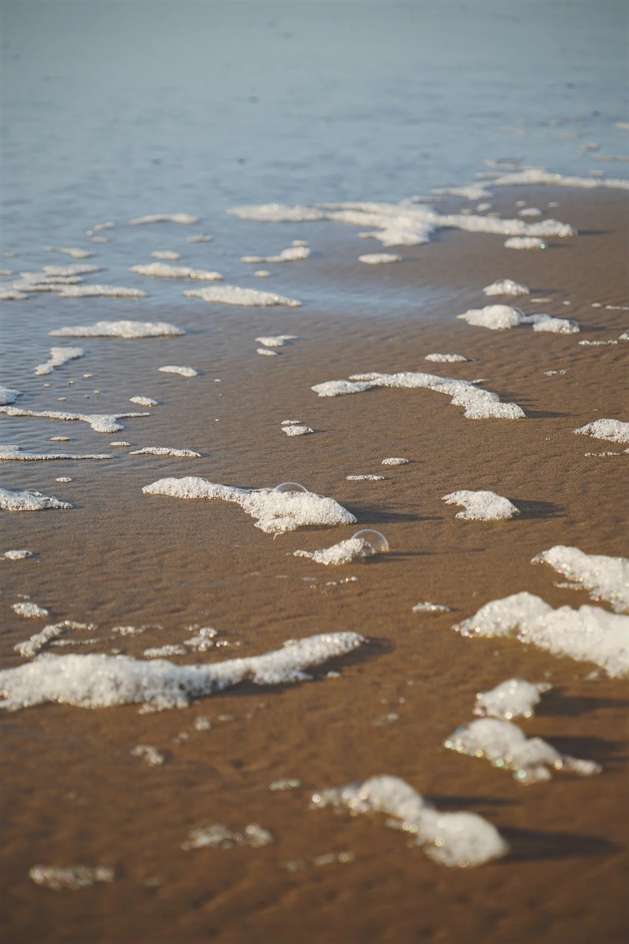 Close-up of foamy bubbles on a sandy beach.