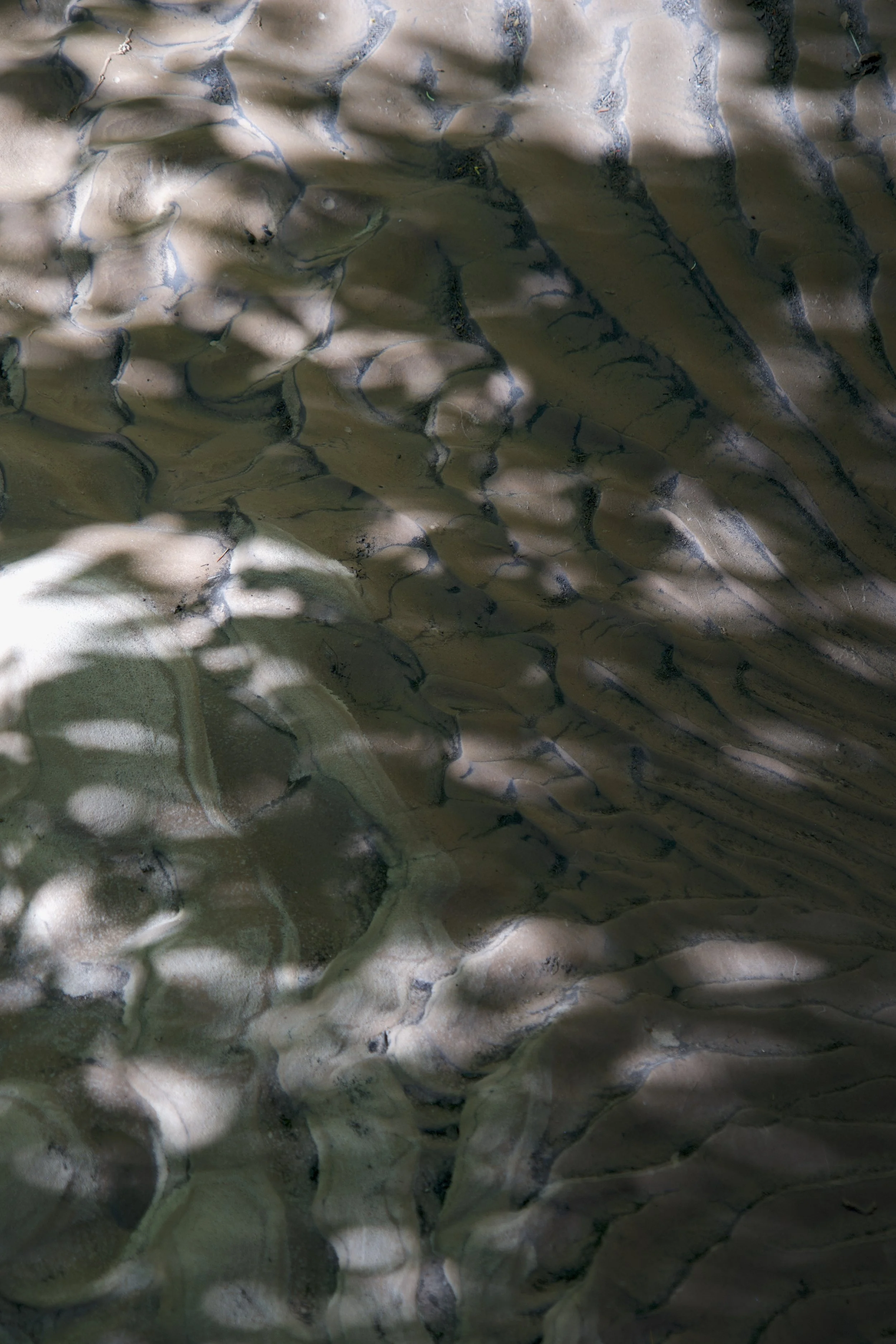 Close-up of a textured, organic surface with dark branching lines and irregular, bumpy formations, possibly a geological or biological material.