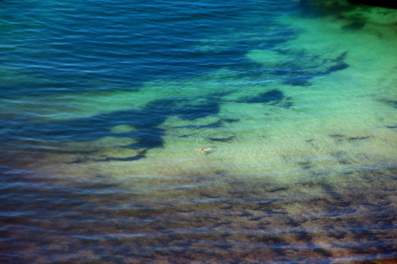 A bird flying over clear blue and green water with visible rocks or sand beneath the surface.