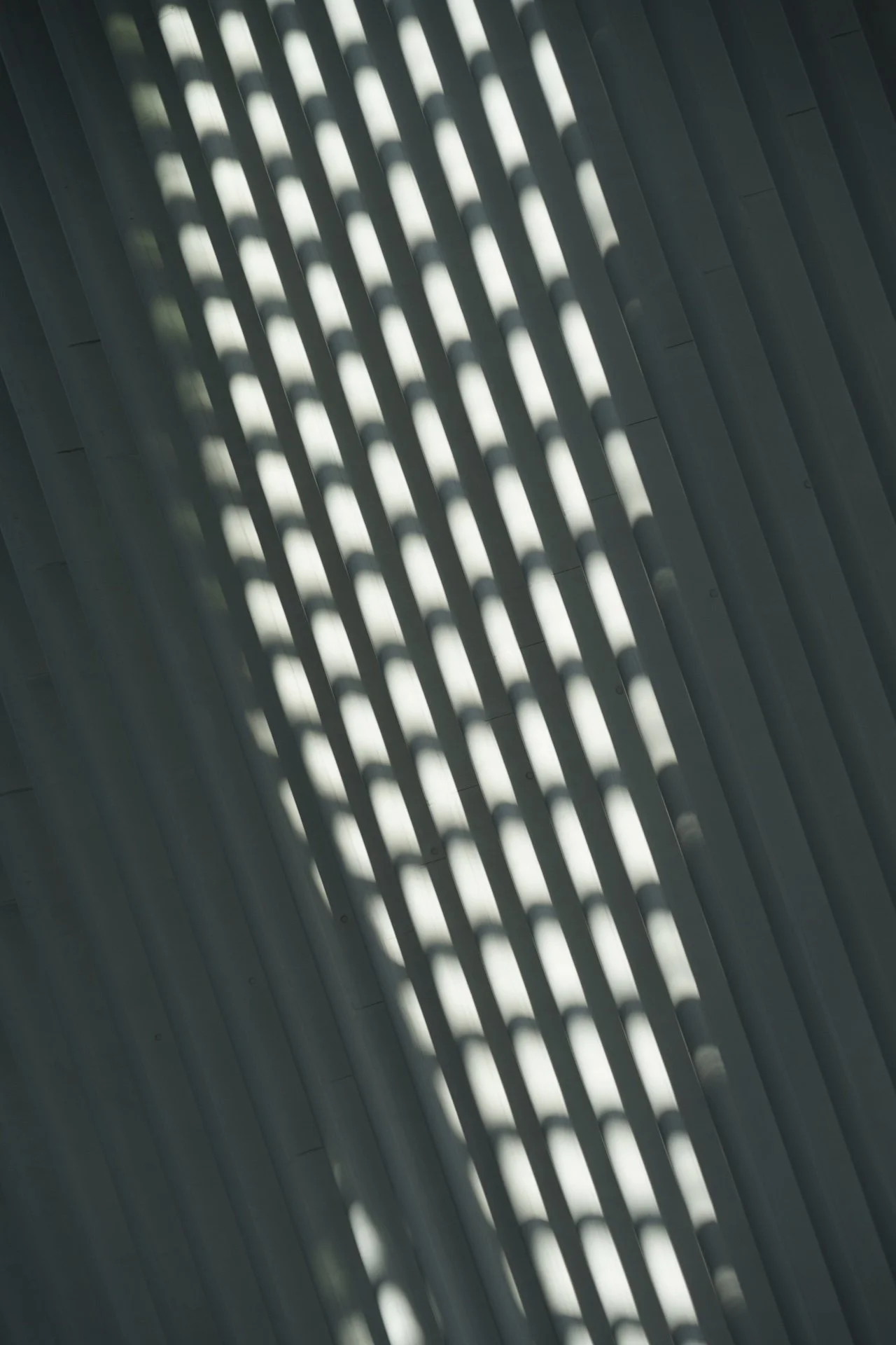 Close-up view of a grid or lattice structure with shadows cast by sunlight, creating a pattern of light and dark stripes.