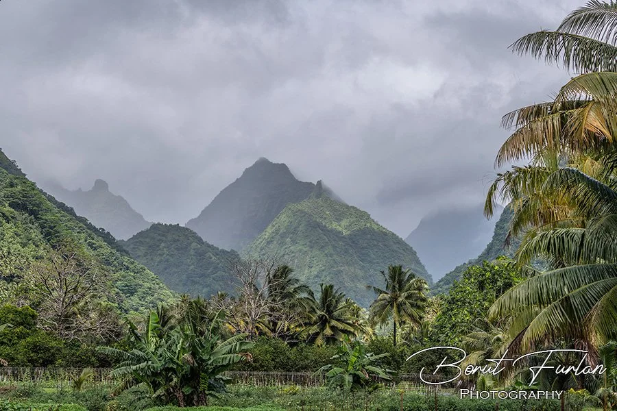 Tahiti-03.jpg
