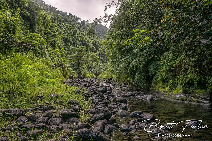 Tahiti-05.jpg