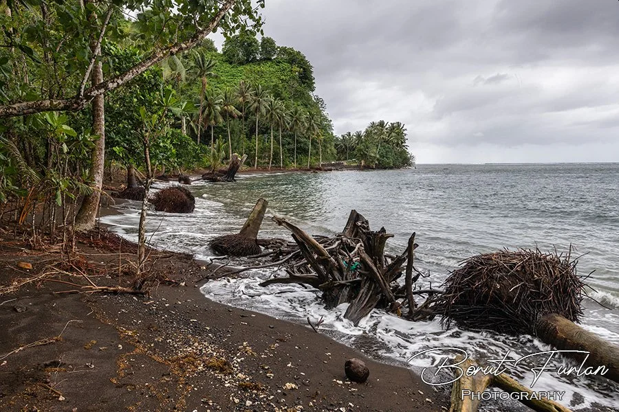 Tahiti-07.jpg