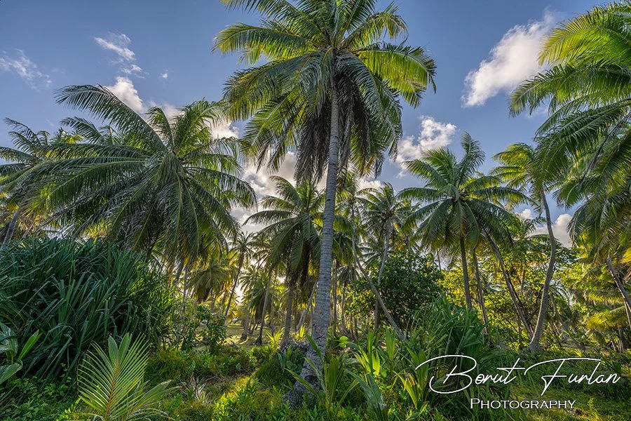 Rangiroa-03.jpg