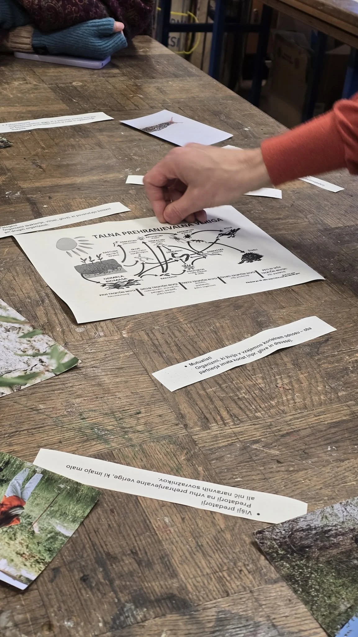 izobrazevanje-404 (3).jpg