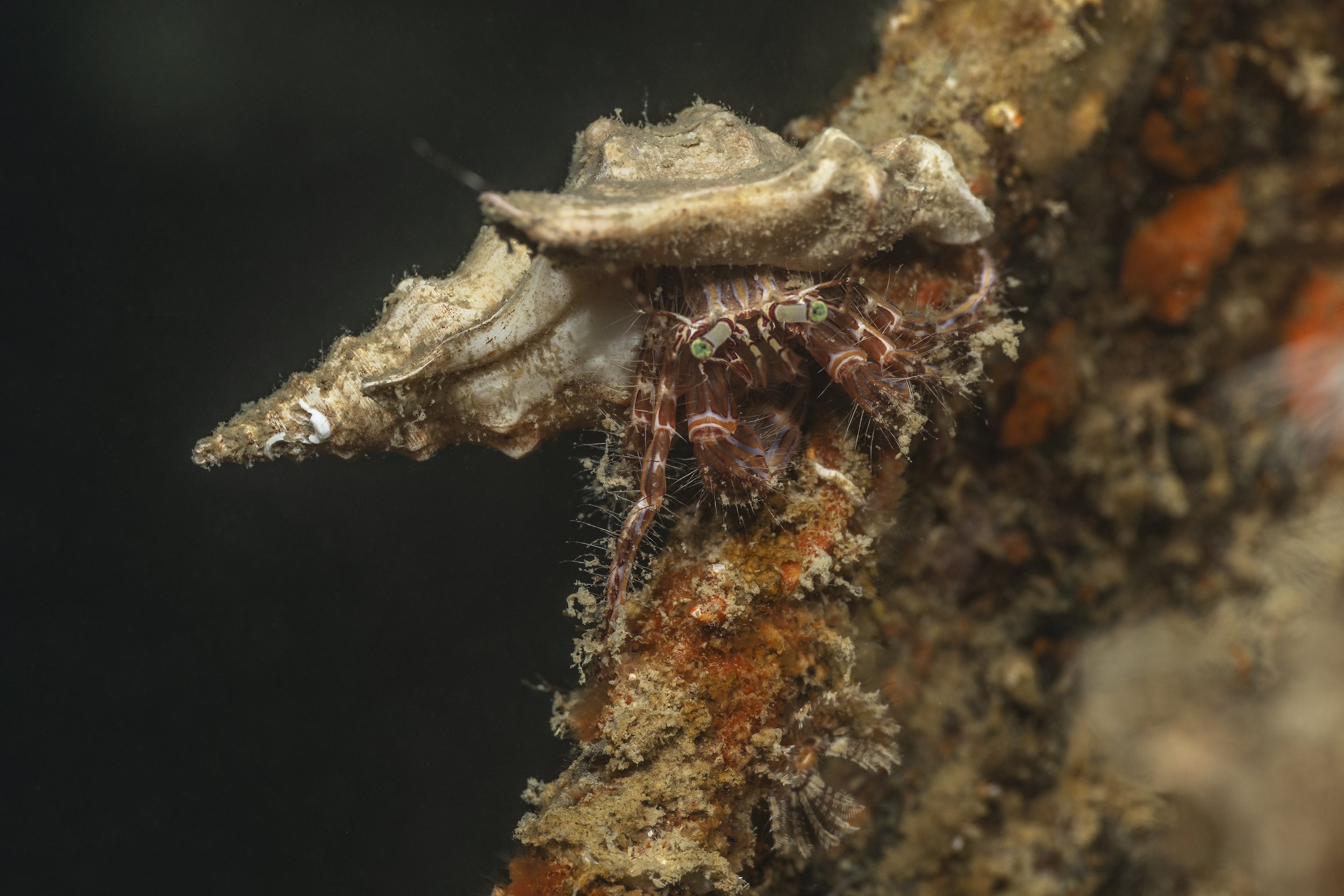 UWM11414 - na leščurjih (2).jpg