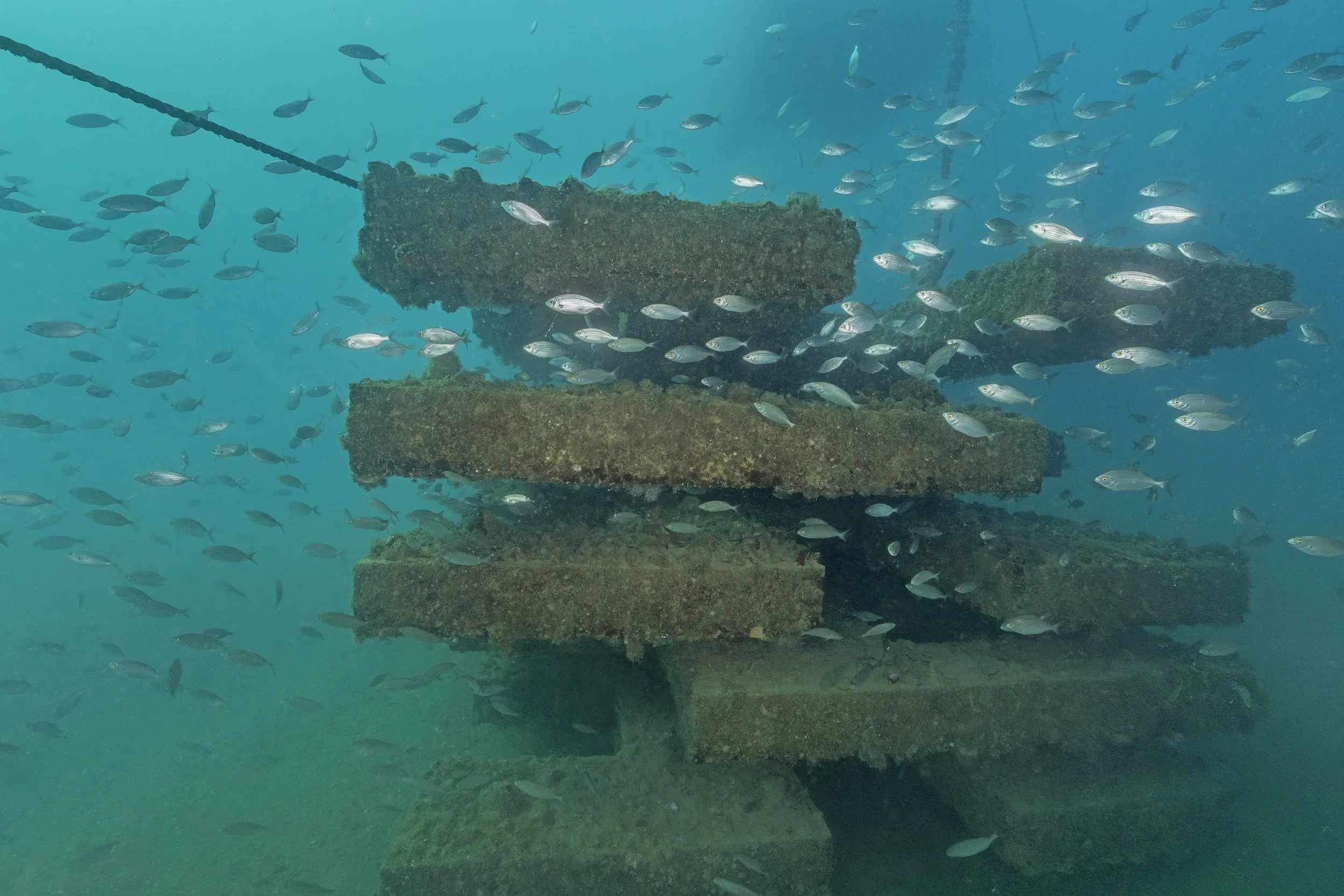 17-02-2026_Morska-Oaza-Piran (49).jpg