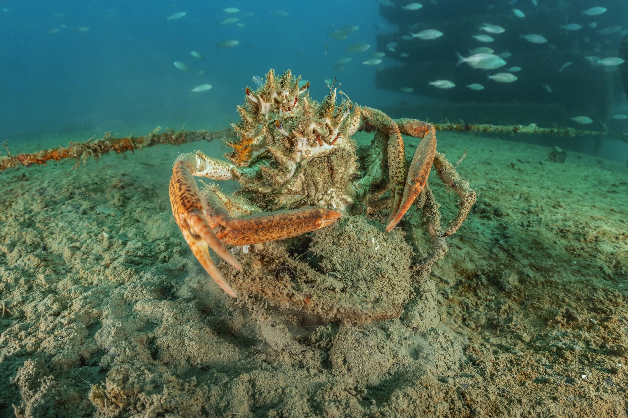 17-02-2026_Morska-Oaza-Piran (62).jpg