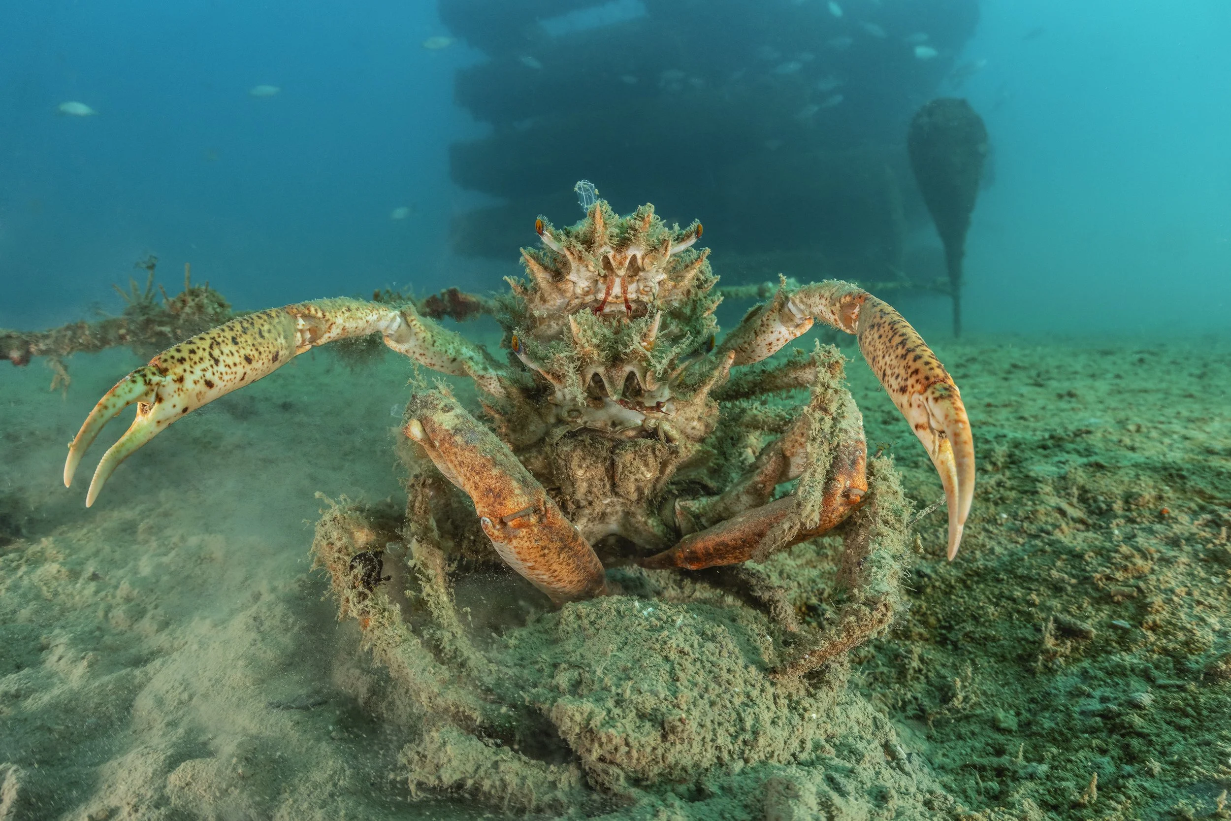 17-02-2026_Morska-Oaza-Piran (68).jpg