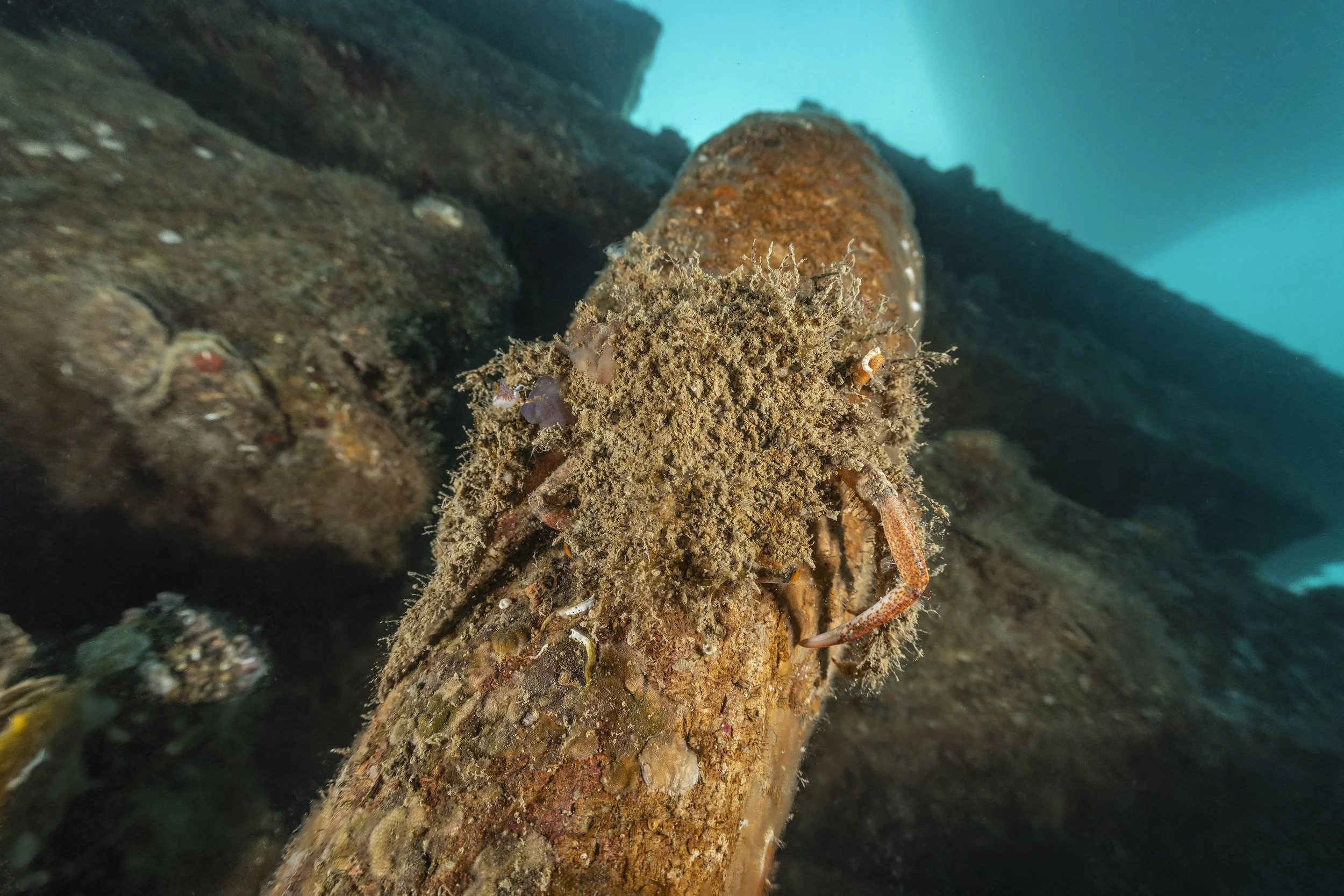 17-02-2026_Morska-Oaza-Piran (71).jpg