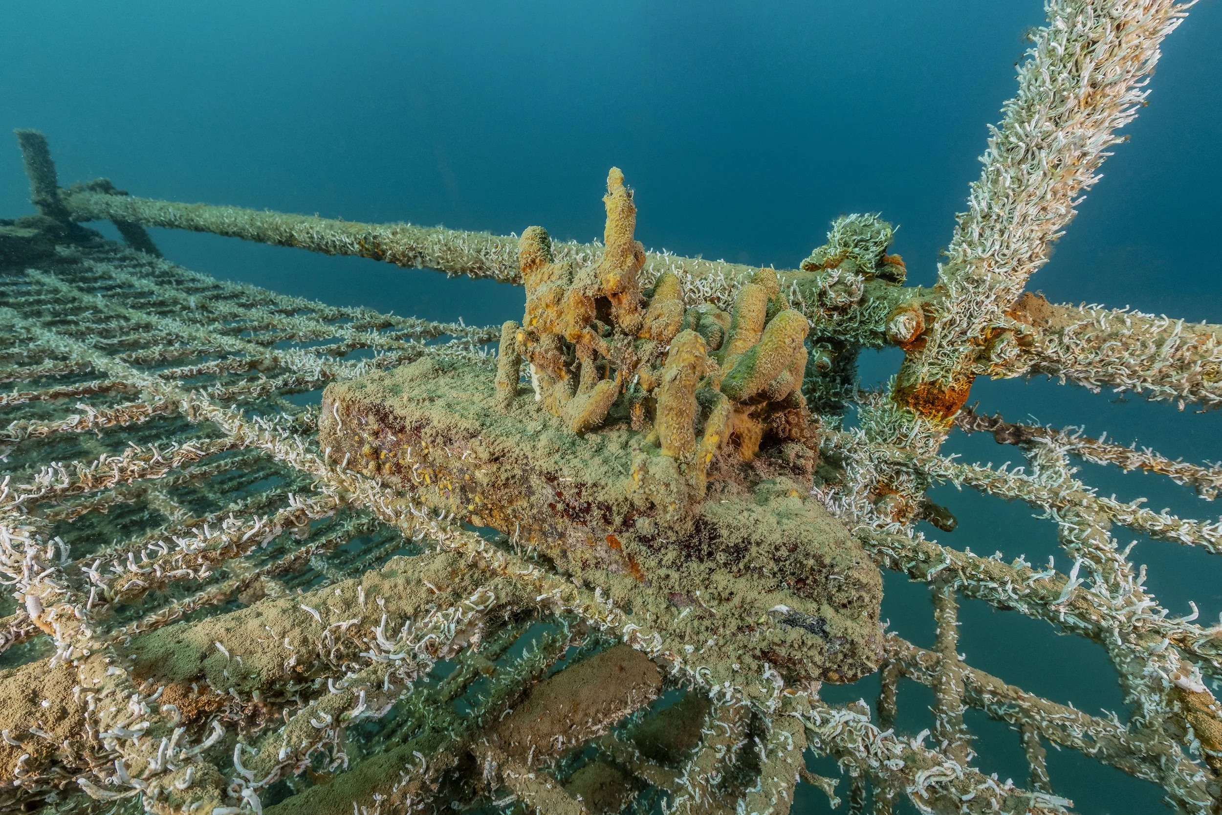 17-02-2026_Morska-Oaza-Piran (84).jpg