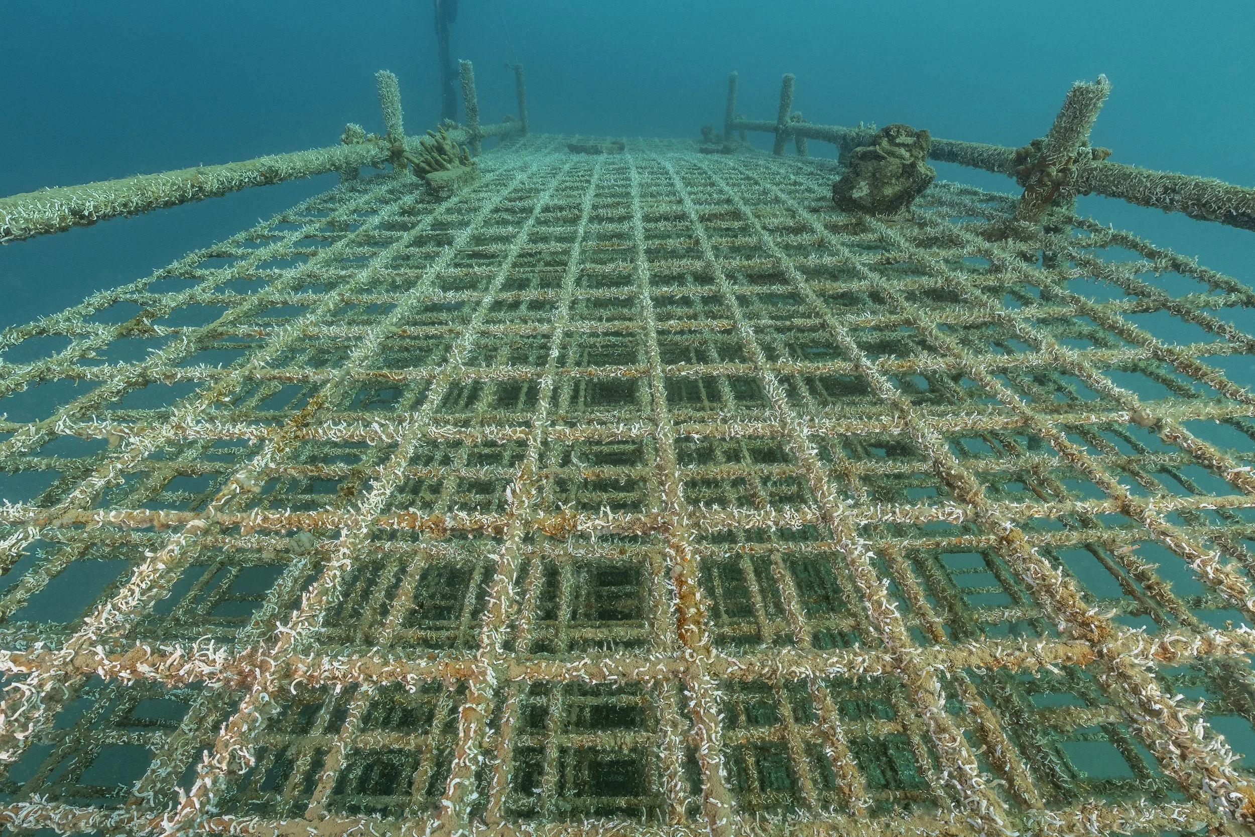 17-02-2026_Morska-Oaza-Piran (85).jpg