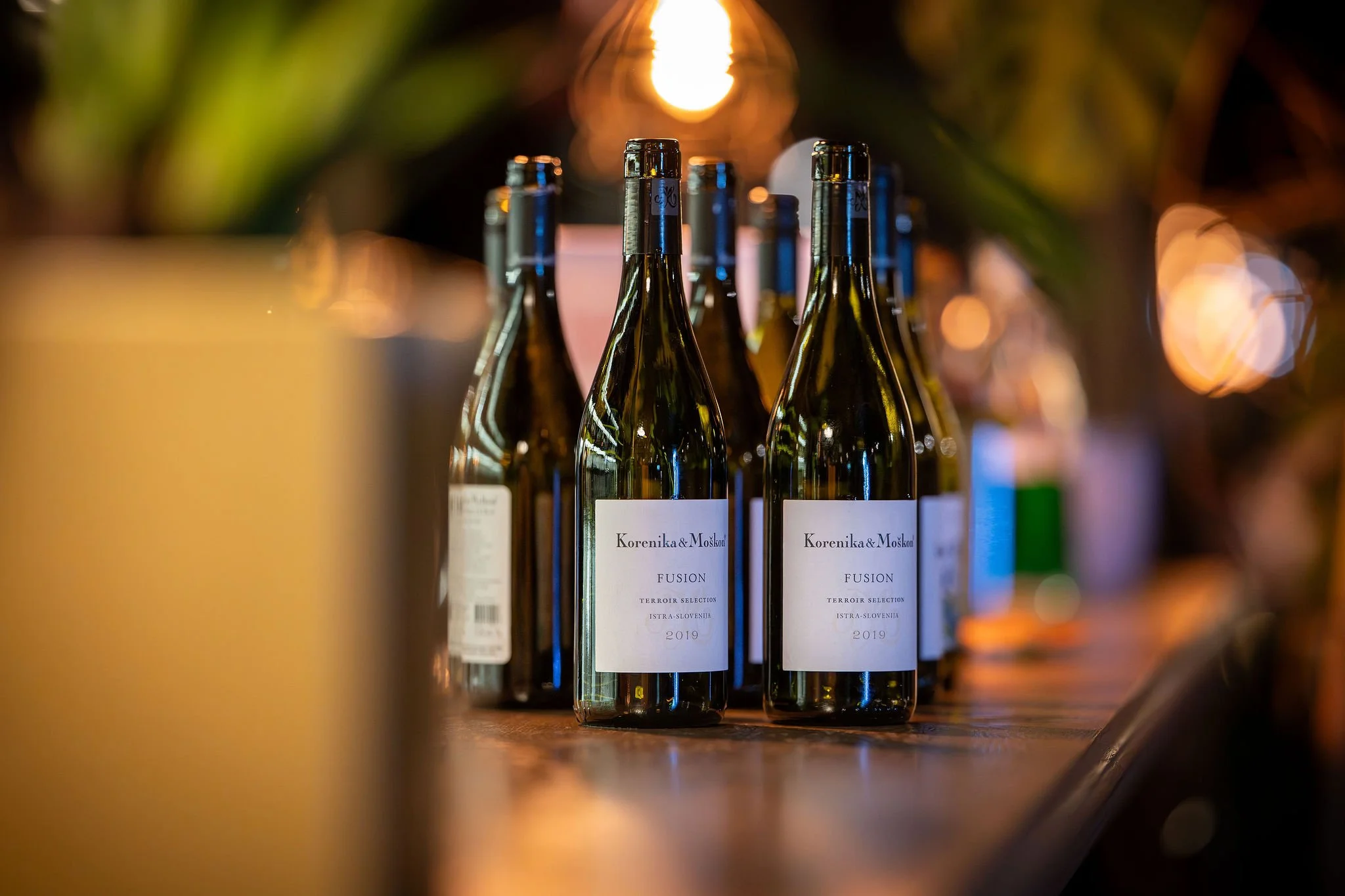 13-03-2026_Kulinarični-večer-modre-rakovice-Rizibizi_Zavod-YouSea_Foto-Danej-Benulič (130).jpg