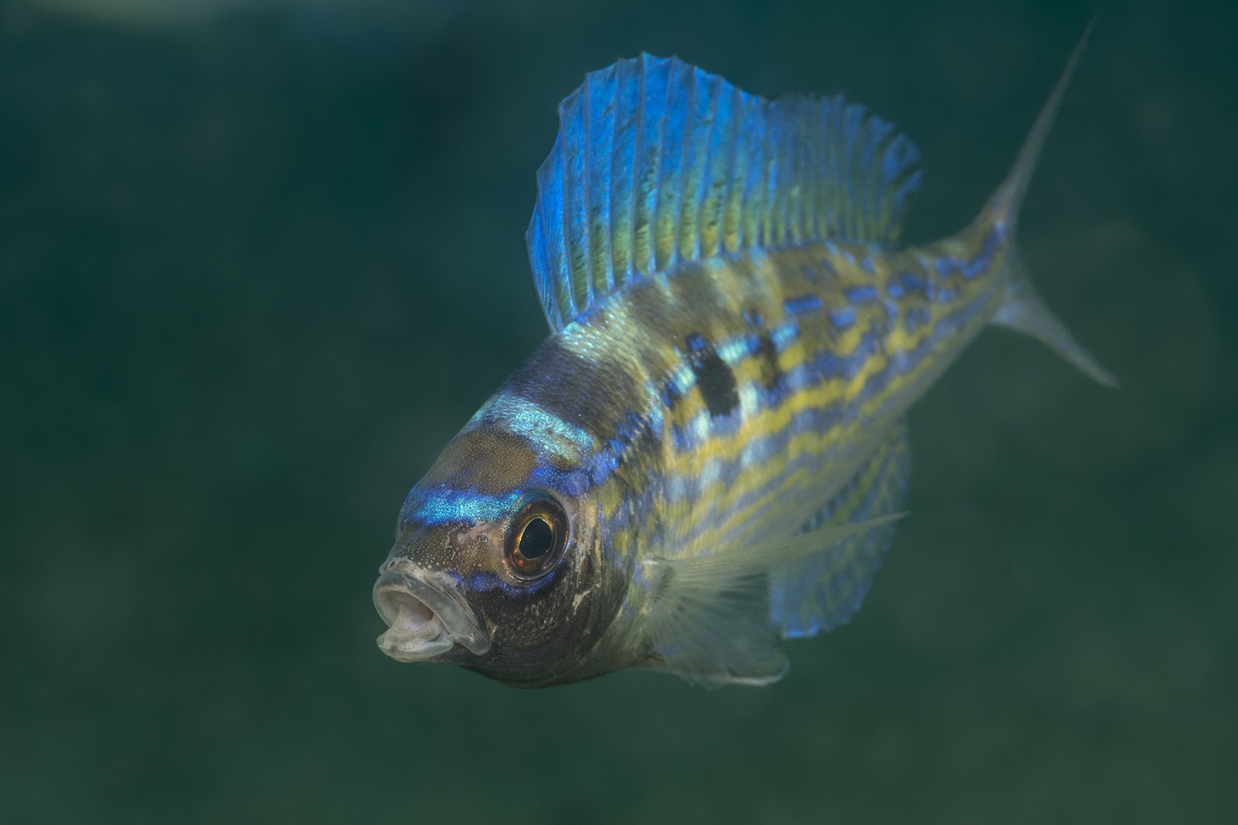 UWM09591 (1).jpg