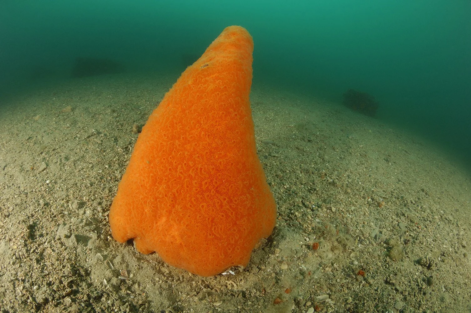 UWM05678.jpg