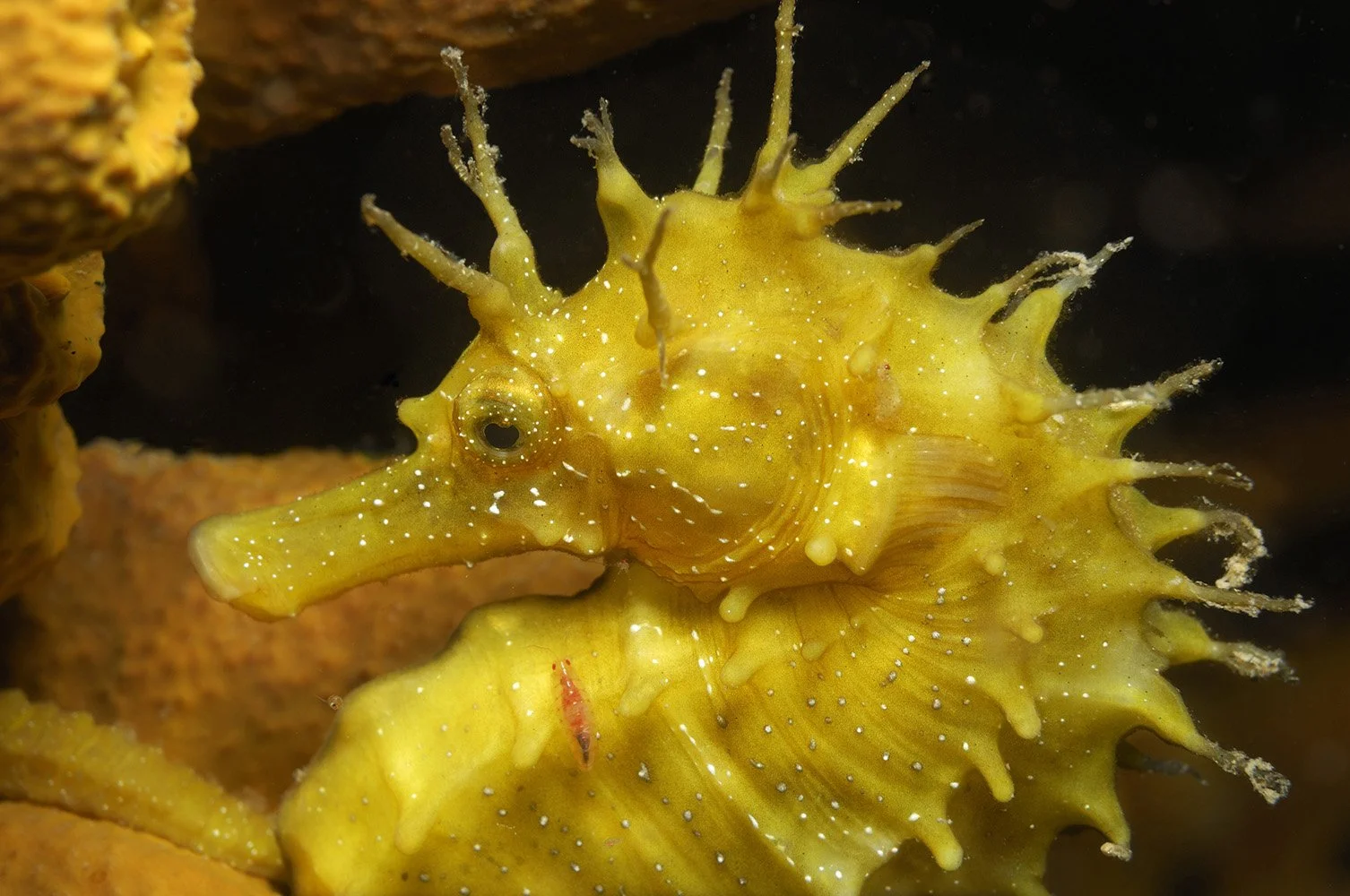 UWM03251.jpg