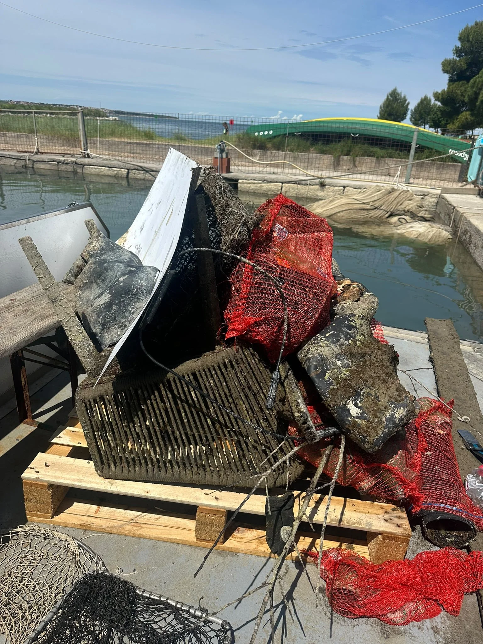 02-06-2026_Čistilna-akcija-Morski-travniki-Portorož_YouSea (9) (1).jpeg