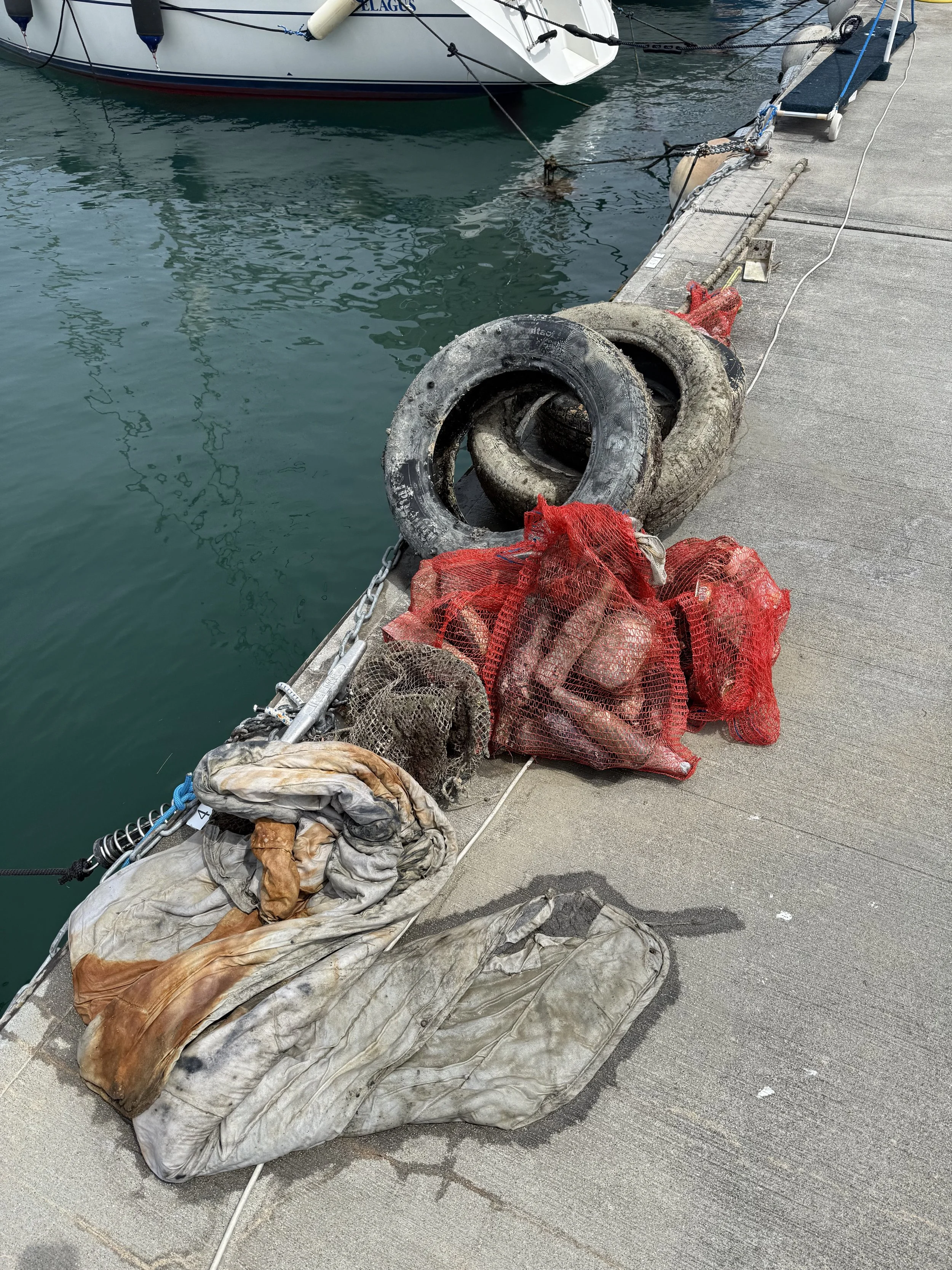 02-06-2026_Čistilna-akcija-Morski-travniki-Portorož_YouSea (2) (1).jpeg