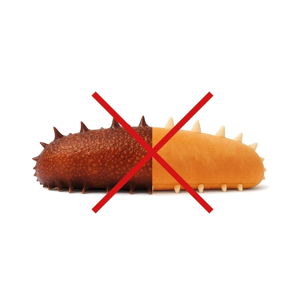 živali niso igrače banner za web jun. 2025.jpg13.jpg
