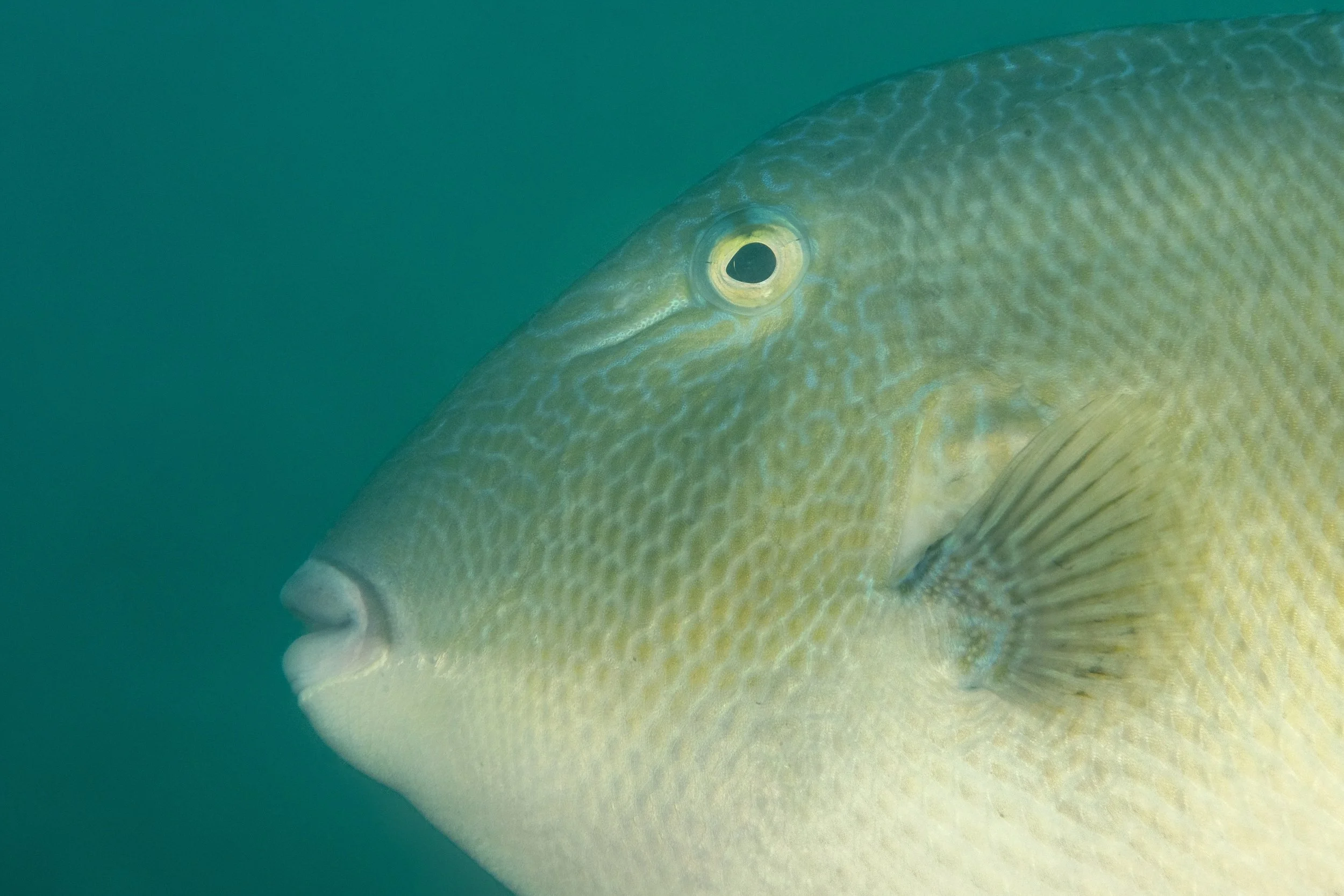 UWM10490.jpg