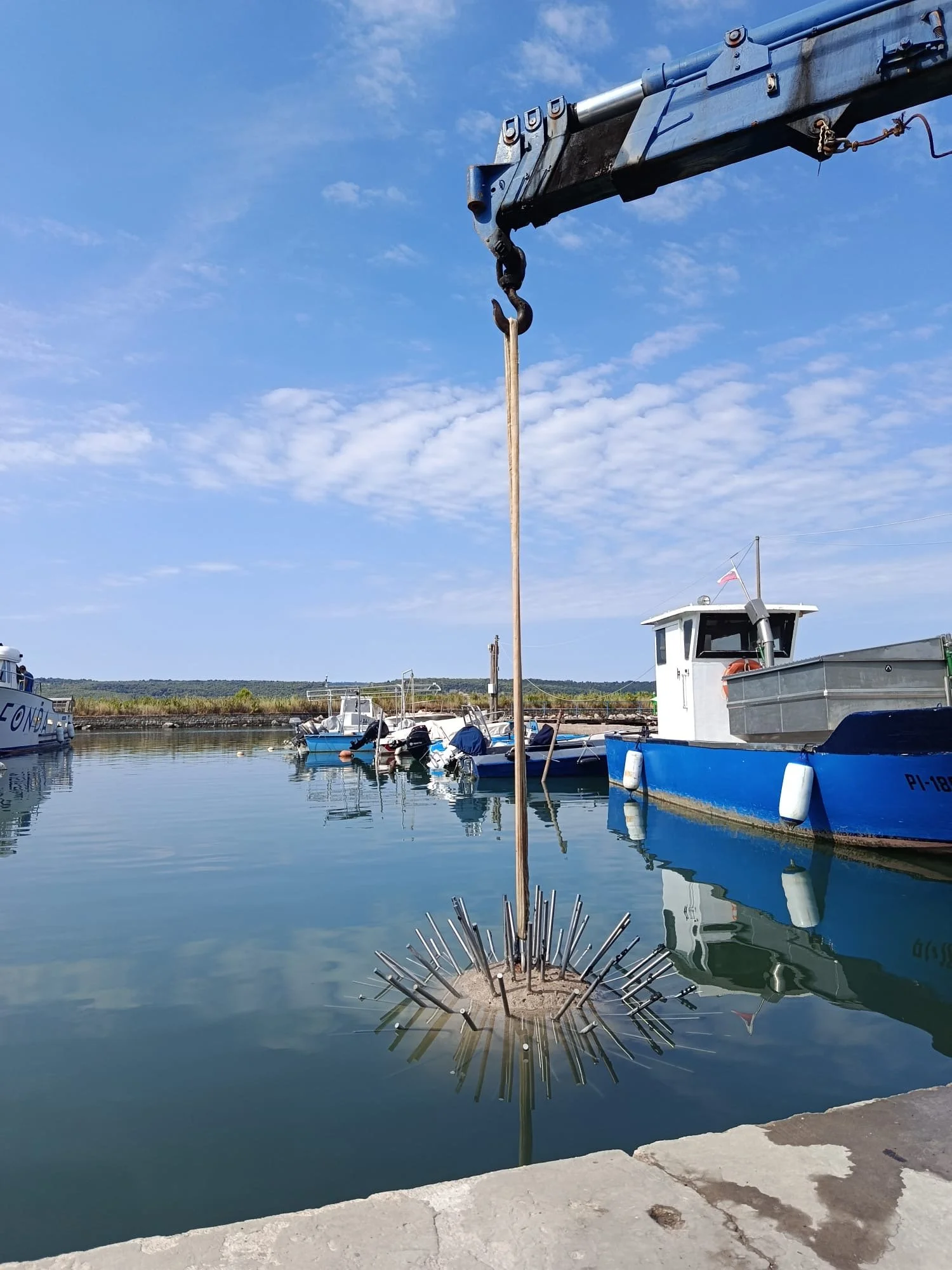 Struktura Neptun 8.jpg
