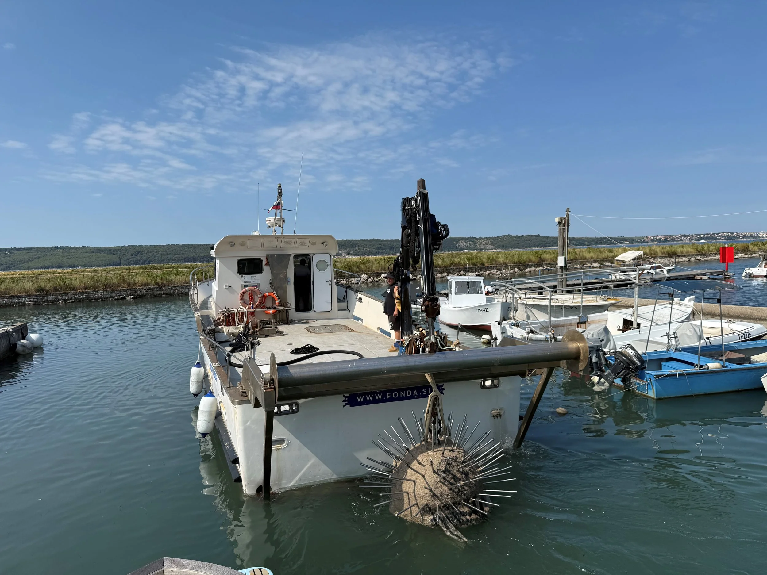 Struktura Neptun 10.jpg