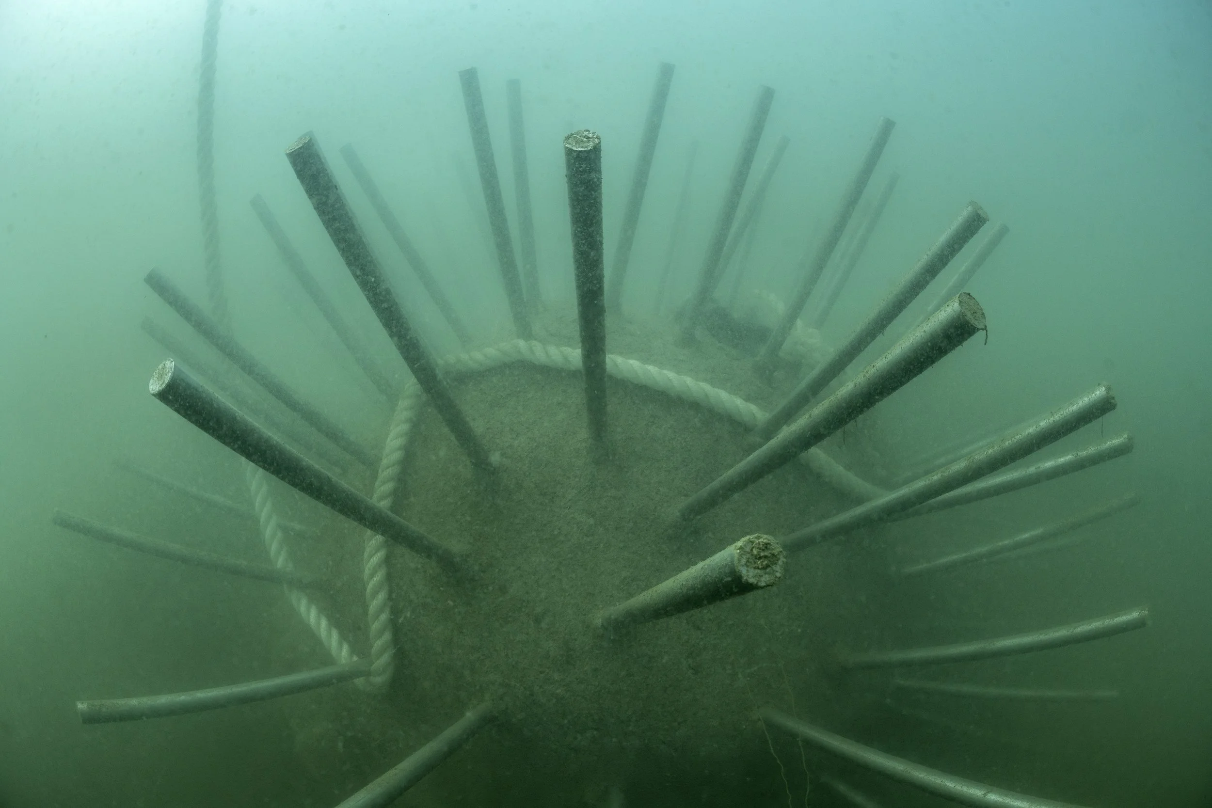 Struktura Neptun 11(1).jpg