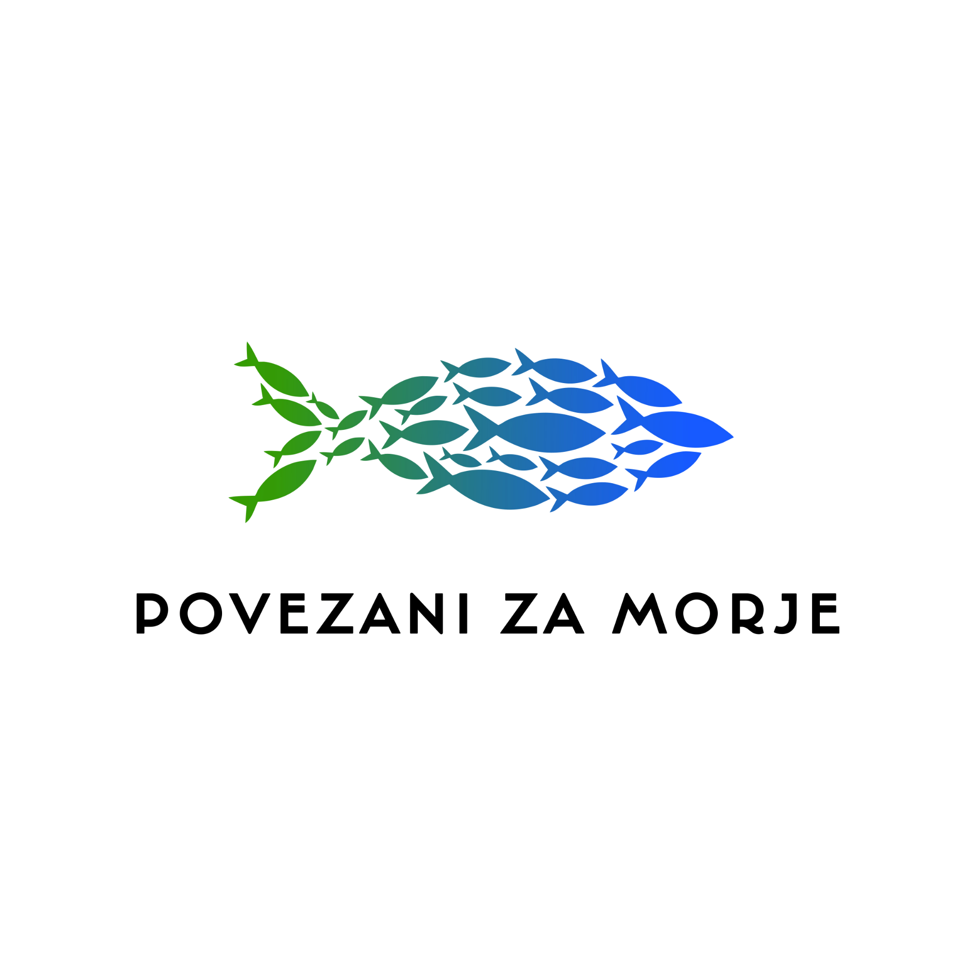 pzm-logo (1).png
