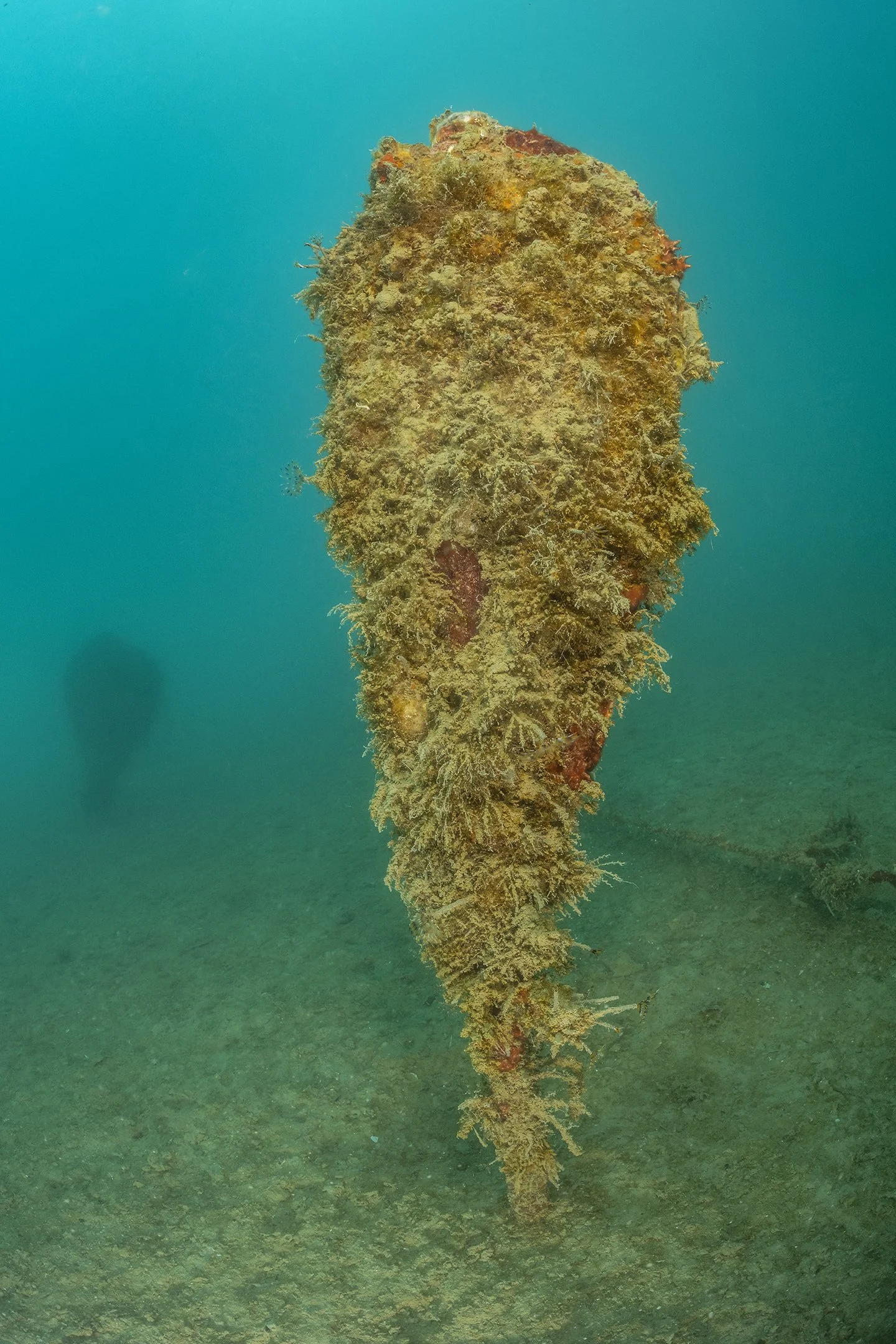 2026-03-14-Lescur-V-spomin-velikim_Foto-Borut-Furlan_UWM11593 (1).jpg