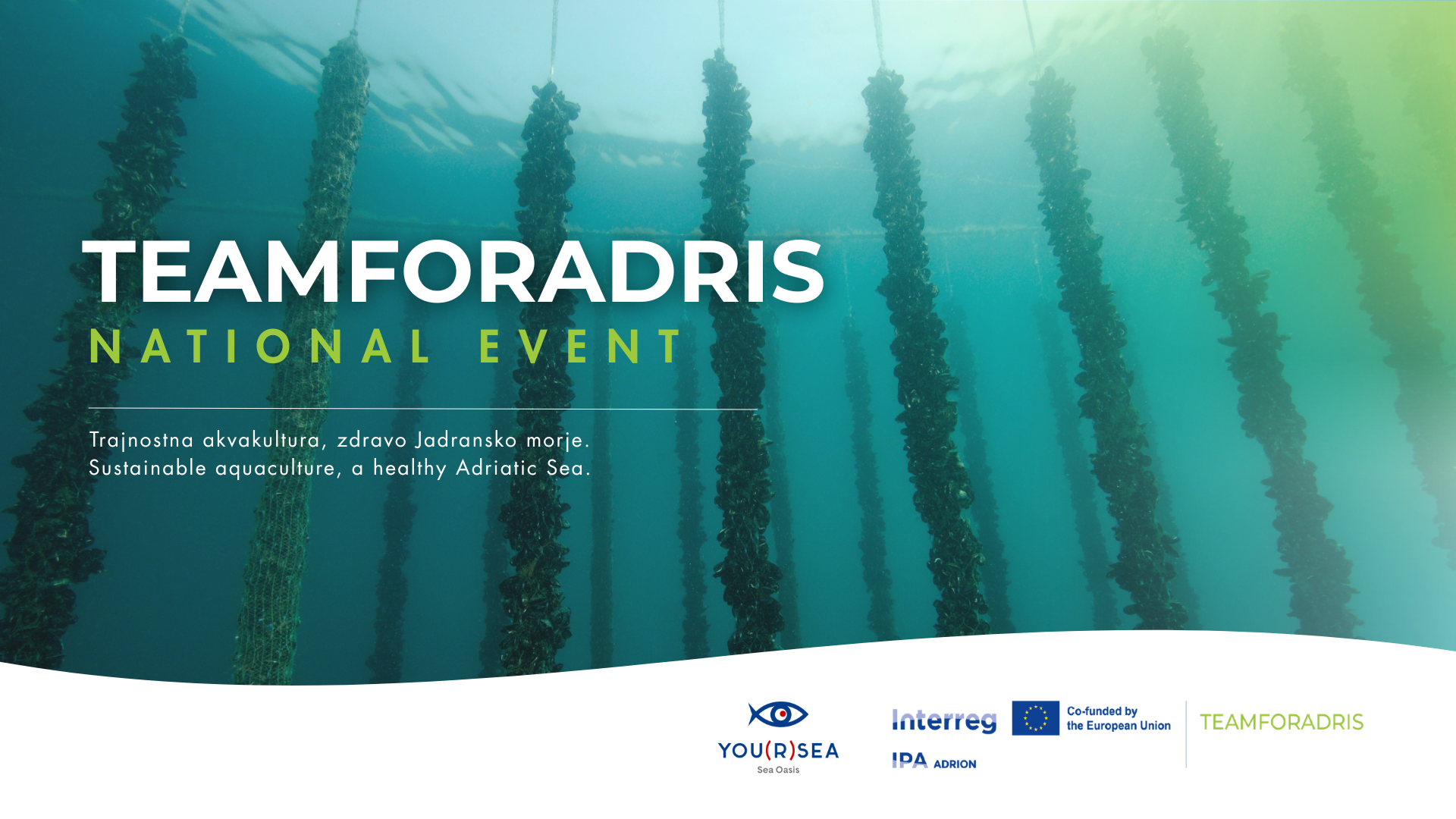 TEAMFORADRIS NATIONAL EVENT