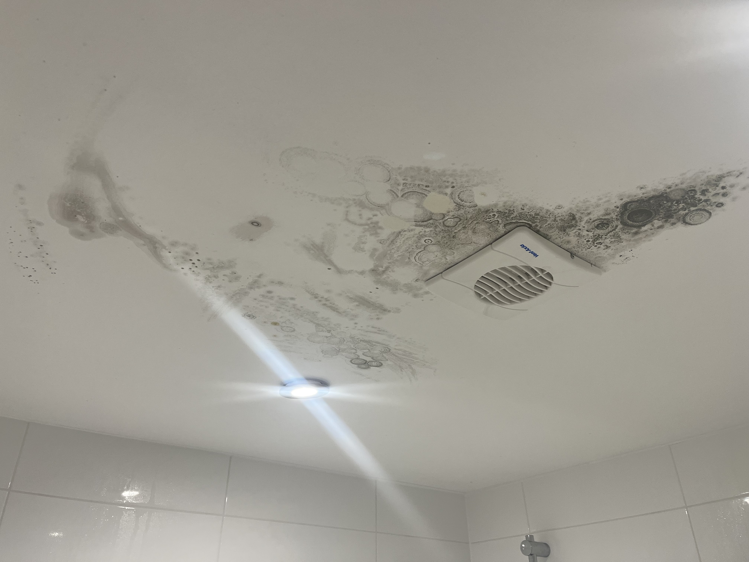 Ceiling with water damage, mold, and a vent.