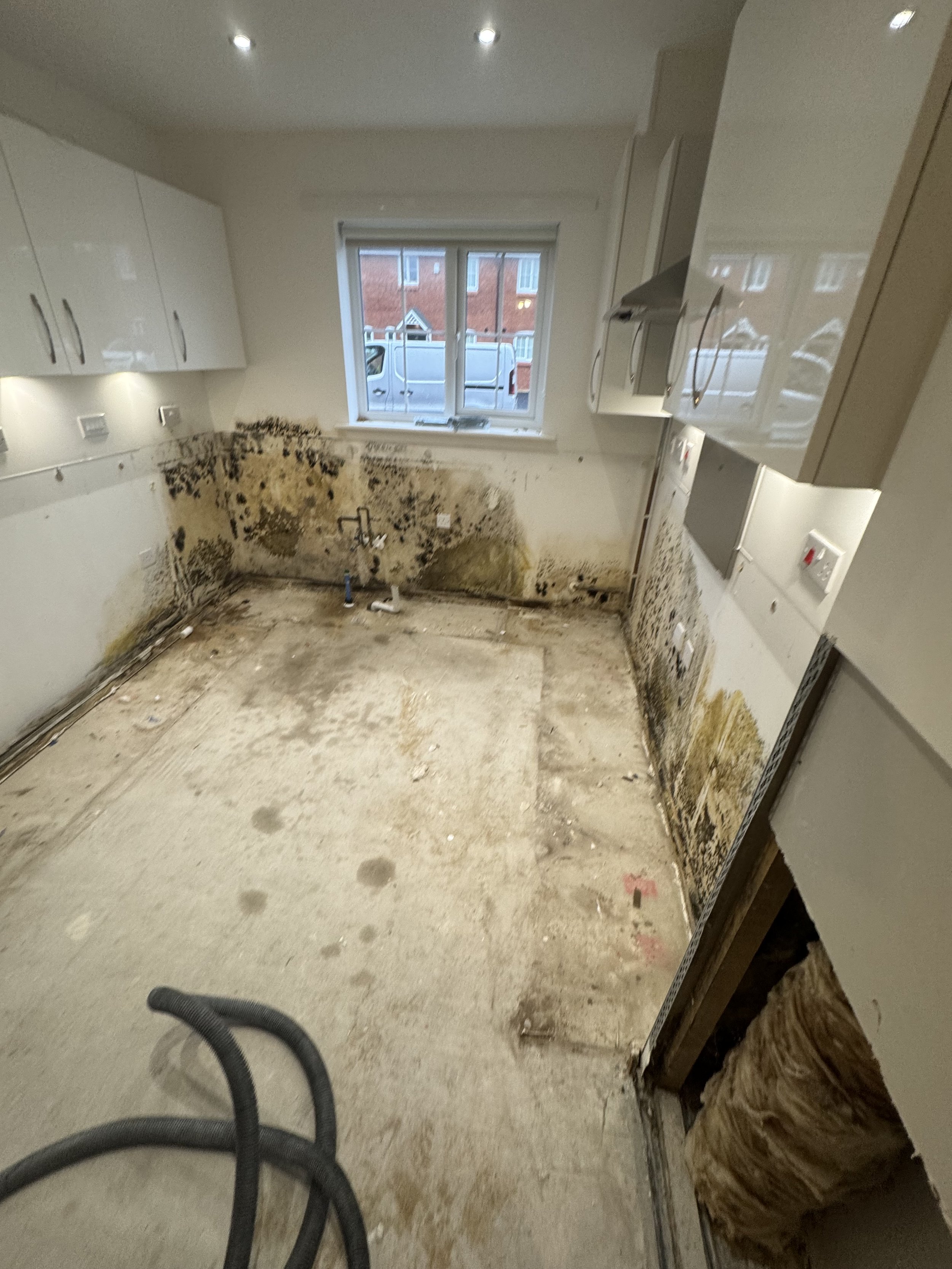 Empty kitchen with damages and mold, construction tools, and exposed insulation on the wall.