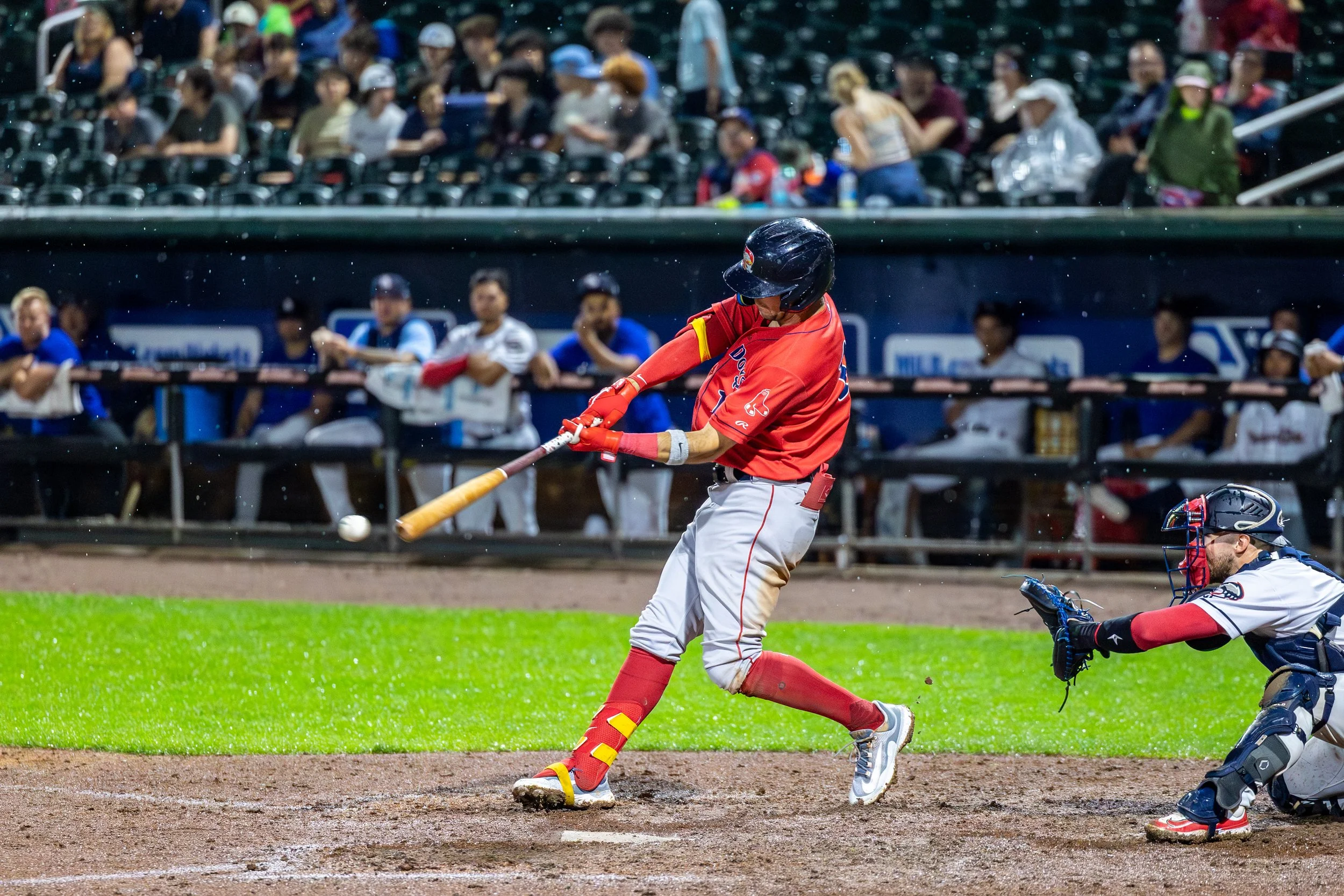 IMG_9250-Enhanced-NR 4.JPG