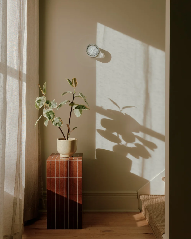 Screenshot (1126).png