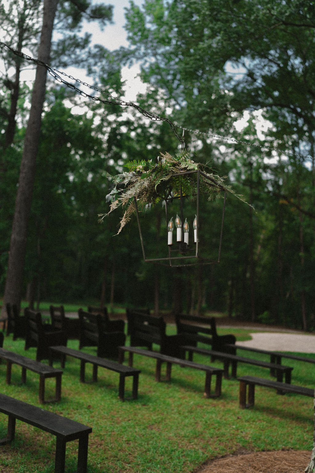 Couple engagement portraits in pine forest at Chande Pines Pembroke Georgia cinematic photography